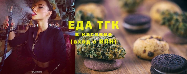 индика Балахна