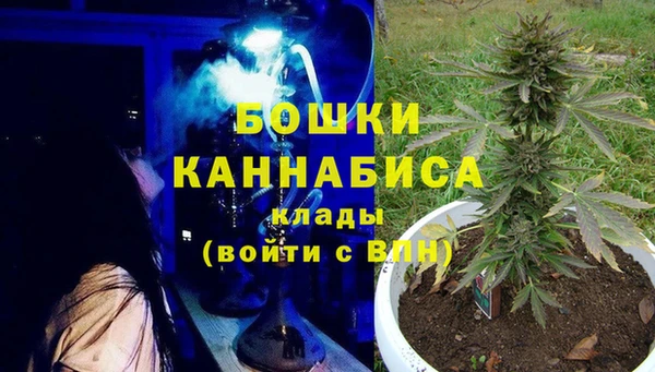 индика Балахна