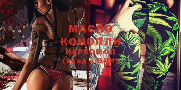 индика Балахна