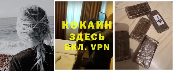 индика Балахна