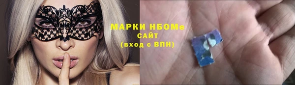 индика Балахна