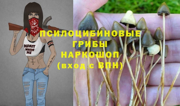 гидра Балабаново