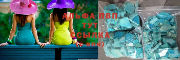 индика Балахна