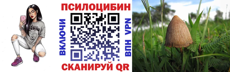 Псилоцибиновые грибы MAGIC MUSHROOMS  наркошоп  Белёв 
